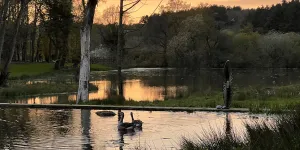 North Norfolk Camping & Glamping