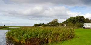 Belhaven Bay 