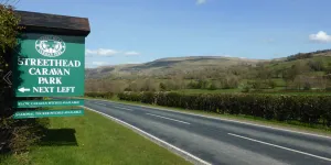 Street Head