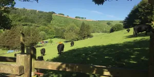 Westermill Farm