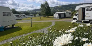 Daisy Bank