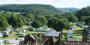 Burrowhayes