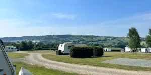 Daisy Bank