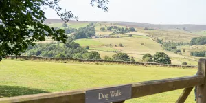 Longnor Wood