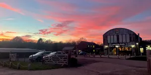 Wylands Farm