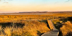 Norfolk Coast Path Camping
