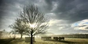 Alders Caravan Park
