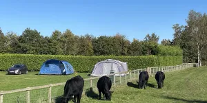 Alders Caravan Park