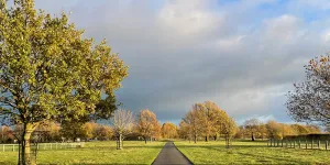 Alders Caravan Park
