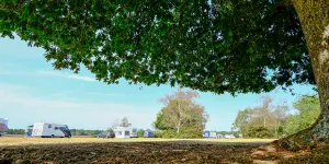 Aldridge Hill