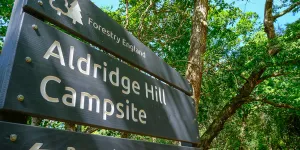 Aldridge Hill