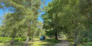 Hollands Wood