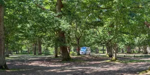 Hollands Wood