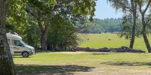 Hollands Wood