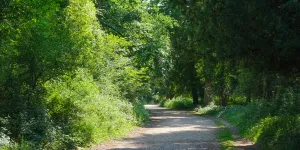 Long Meadow
