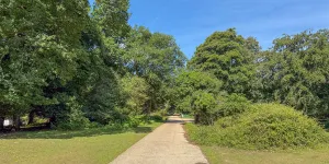 Longbeech