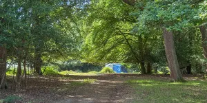 Longbeech