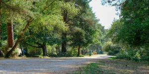 Roundhill