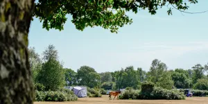 Roundhill