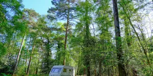 Setthorns Campsite