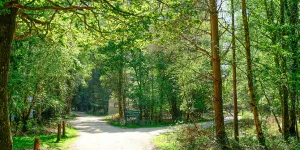 Setthorns Campsite