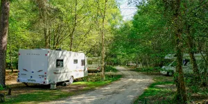 Setthorns Campsite