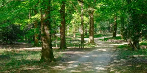 Setthorns Campsite