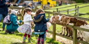 Cotswold Farm Park