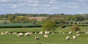 Hope Farm Campsite