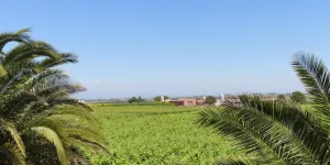 Vinya els Vilars campsite in Spain