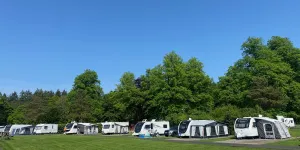 Callander Woods