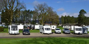 Callander Woods
