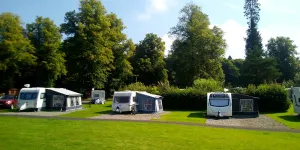 Callander Woods