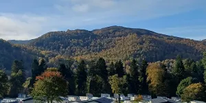 Faskally Woods