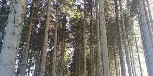 Kielder Water