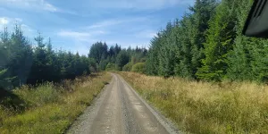 Kielder Forest Drive