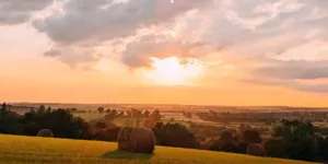 New Hall Farm