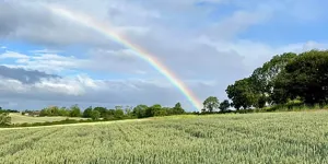 New Hall Farm