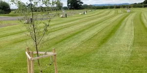 Oakwood Campsite