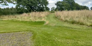 Oakwood Campsite