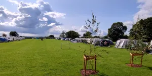 Oakwood Campsite