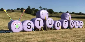 Studfold
