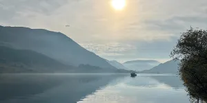 The Quiet Site