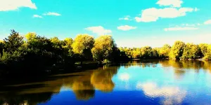Ashby Park