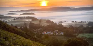 The Quiet Site