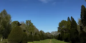 Clipsham Yew Tree Avenue