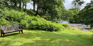 Elan Oaks