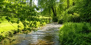 Abermarlais