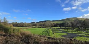 Bonchester Bridge