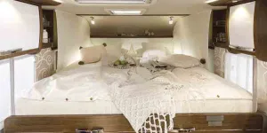 Frankia-F-Line-bed-55560